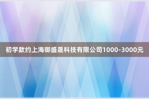 初学款约上海御盛晟科技有限公司1000-3000元